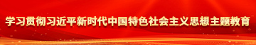 www.操逼视频.学习贯彻习近平新时代中国特色社会主义思想主题教育